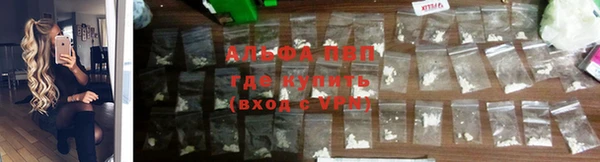 МДПВ Алзамай
