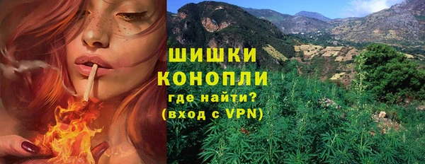 PSILOCYBIN Арсеньев