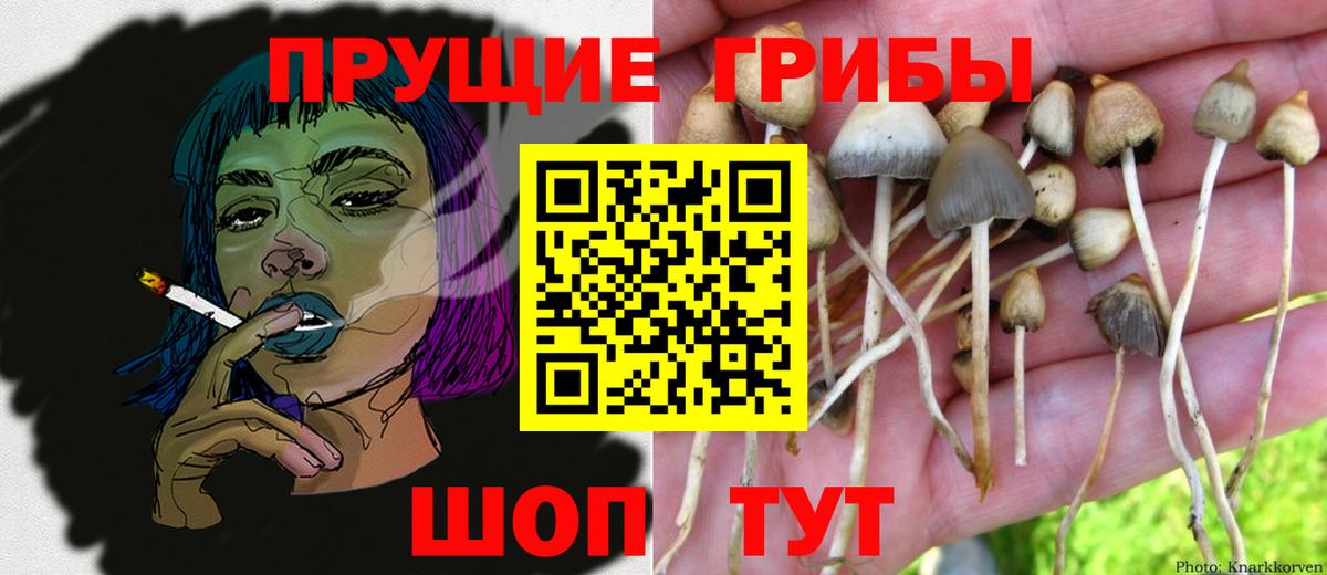 Воткинск  Галлюциногенные грибы мухоморы  Вход с VPN 