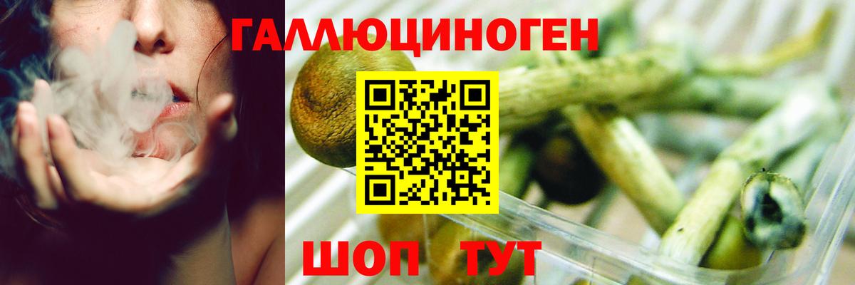 Галлюциногенные грибы Psilocybe Воткинск